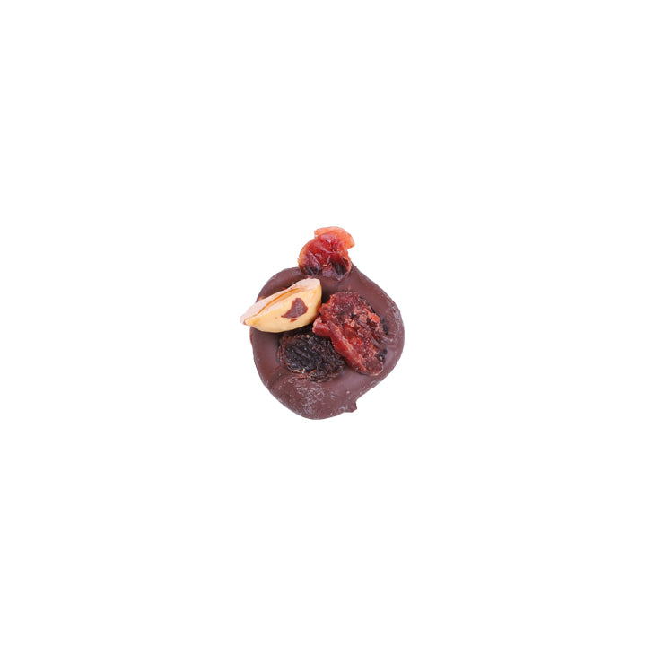 Fruit & Nut Medallions (Dark)
